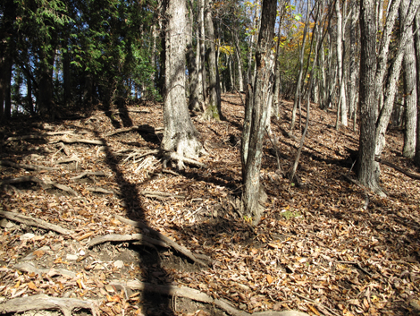 20151116hike (82)